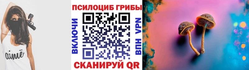 Псилоцибиновые грибы Psilocybe  Купить  Княгинино 